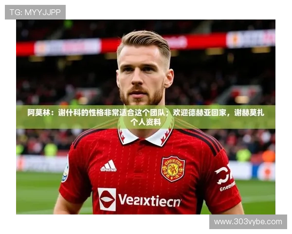 九游娱乐官方网站赞助不莱梅足球队的合作细节及其对平台用户体验优化的具体作用